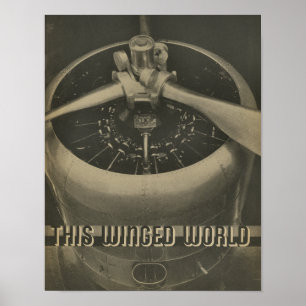 Póster 1938 Aviación Aviar Engine Magazine Art Print