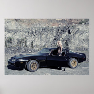 Póster 1979 Pontiac Trans Am 6.6 Liter V8
