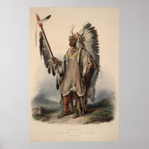 Póster 19th Century Indian Chief Reprint 36 x 24 Poster