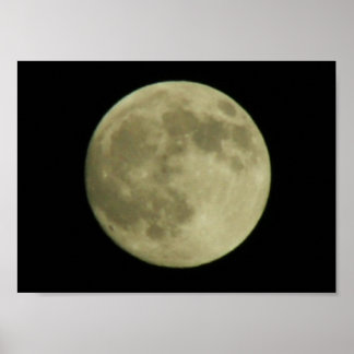 Póster 1.ᵉʳ compulsión