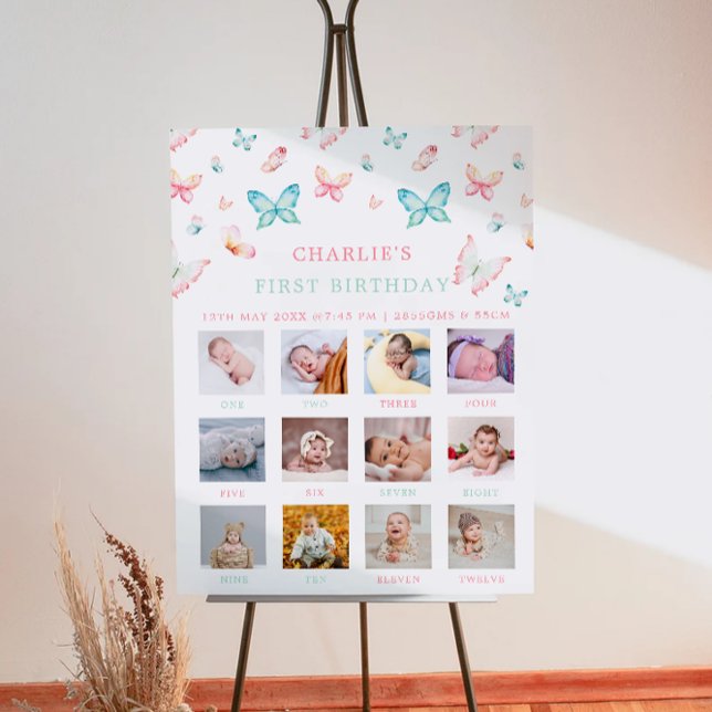 Póster 1.ᵉʳ Rótulo de foto mensual de cumpleaños mariposa (1St Birthday Monthly Photo Sign Rainbow Butterfly)