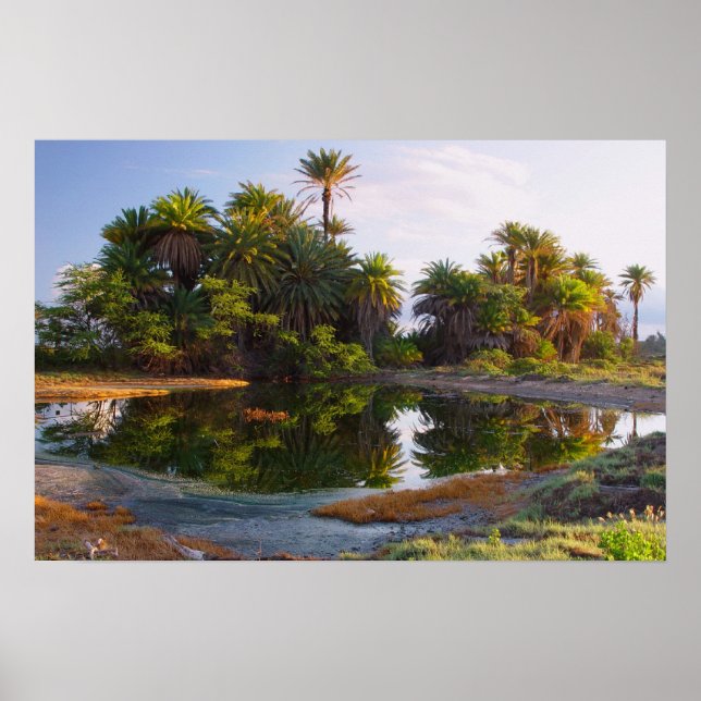 Póster 1.000.000 Años A.C. (Frente)