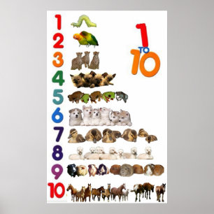 Póster 1 - 10 Poster de números