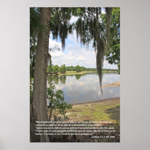 Póster 1:1 de Salmos - 3 (estafa Río y Arbol del cártel)