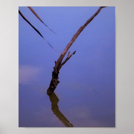 Póster #1-Etang de Scamandre en Camargue.