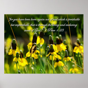 Póster 1 Peter 1:23 Poster Inspirador