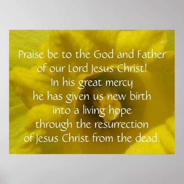 Póster 1 Peter 1:3 Poster (Frente)