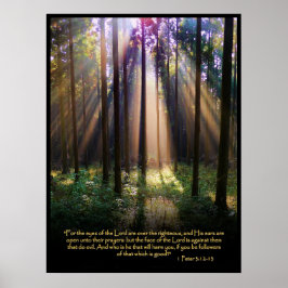Póster 1 Peter 3:12-13 Biblia cristiana contra Poster