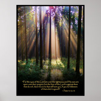 Póster 1 Peter 3:12-13 Biblia cristiana contra Poster