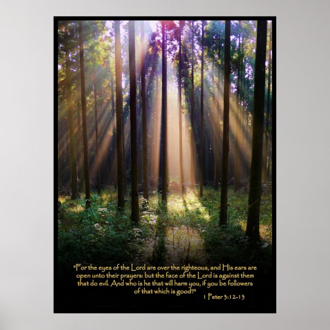 Póster 1 Peter 3:12-13 Biblia cristiana contra Poster (Frente)