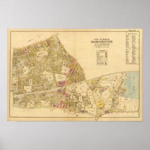Póster 1 Ward 16 Dorchester
