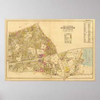 Póster 1 Ward 16 Dorchester