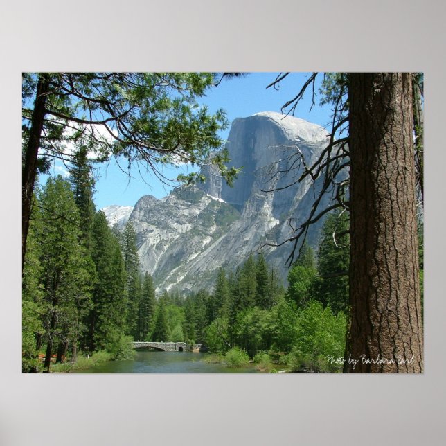 Póster 2005 may. yosemite 198, Foto de Barbara Earl (Frente)