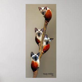 Póster 2008JulioMostrarPussyWillowToasty