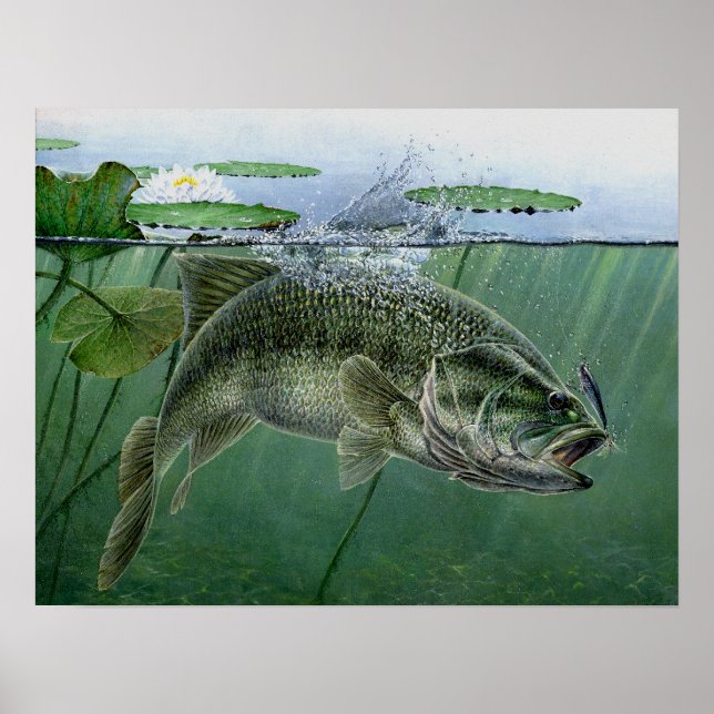 Póster 2010 Mejor espectáculo nacional de A. Hunter (Frente)