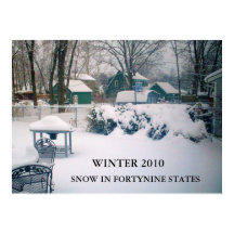 2010, SNOW IN FORTYNINE STATES poster