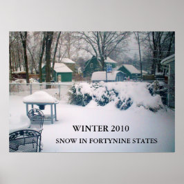 Póster 2010, SNOW IN FORTYNINE STATES poster