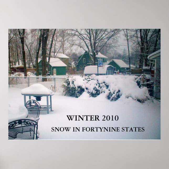 Póster 2010, SNOW IN FORTYNINE STATES poster (Frente)
