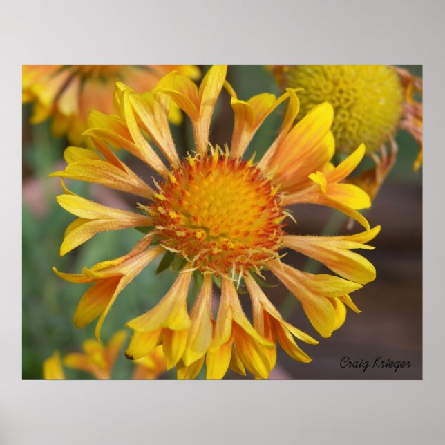 Póster 2010f_may, Craig Krieger (Frente)