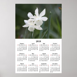 Póster 2018 Calendar White Daffodils Photograph