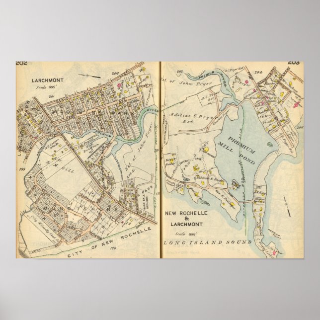 Póster 202203 Larchmont, Nueva Rochelle (Frente)