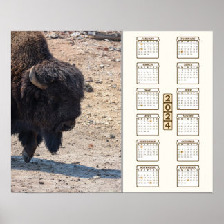 Póster 2024 - "Búfalo"