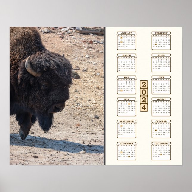 Póster 2024 - "Búfalo" (Frente)