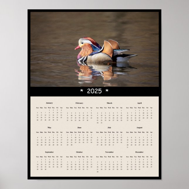 Póster 2025 Mandarin Duck Wall Calendar Poster (Frente)