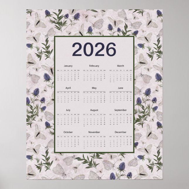 Póster 2026 Butterflies Thistle Wall Calendar (Frente)