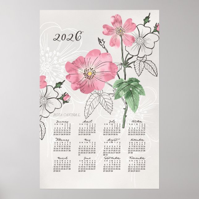 Póster 2026 Poster del calendario Rosa botánico (Frente)