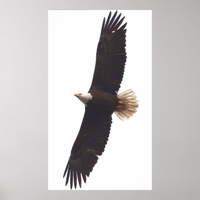 Póster 20 de abril de 2025 (Frente)