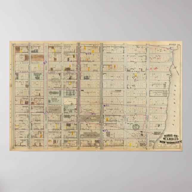 Póster 20 Ward 19 (Frente)