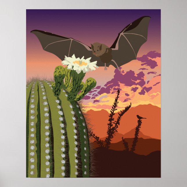 Póster 20"x16" Barba suroeste y Saguaro (Frente)
