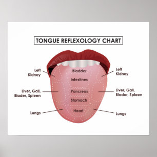 Póster 20" x 16", carta del Reflexology de la lengua