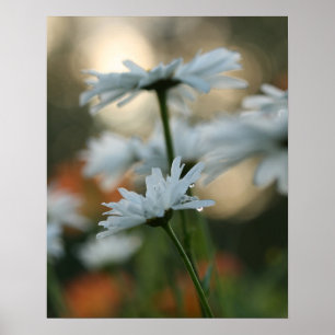 Póster 20" x 16", papel Poster de valor (mate)