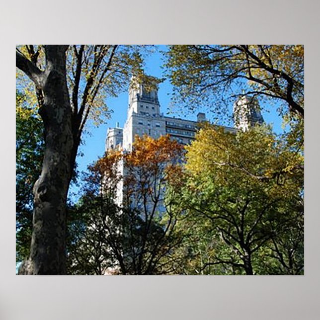 Póster 20" x 16", papel Poster de valor (mate) (Frente)