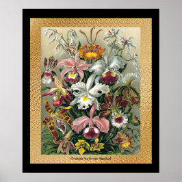 Póster 20 x 24 negro y oro