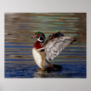 Póster 20x16 Pato de madera