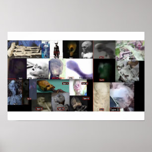 Póster 21 especies extraterrestres reales