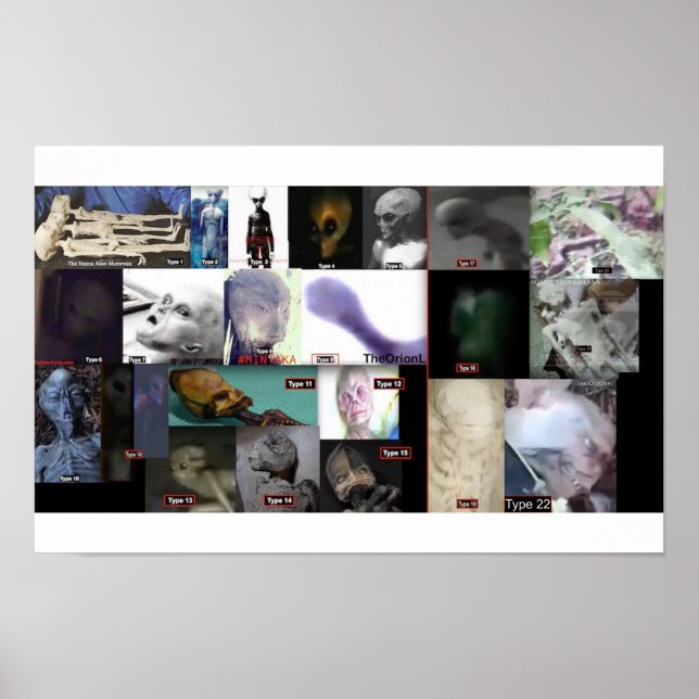 Póster 21 especies extraterrestres reales (Frente)