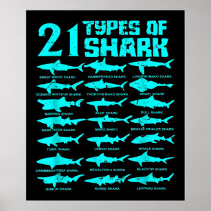 Póster 21 tipos de regalo de biología marina de tiburón