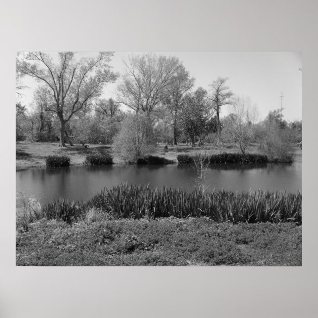 Póster 22 de marzo (13) Lienzo (Frente)