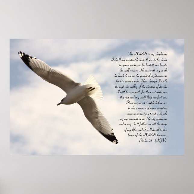 Póster 23.ª bíblica salma con gaviota marina en alza (Frente)