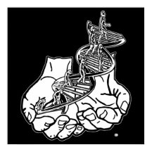 24" x 24", papel Poster de valor (mate) negro