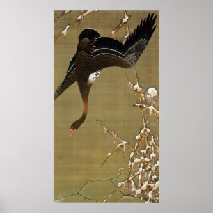 Póster 26. 芦 雁 図, 若oca salvaje, Jakuchū, Japón Art