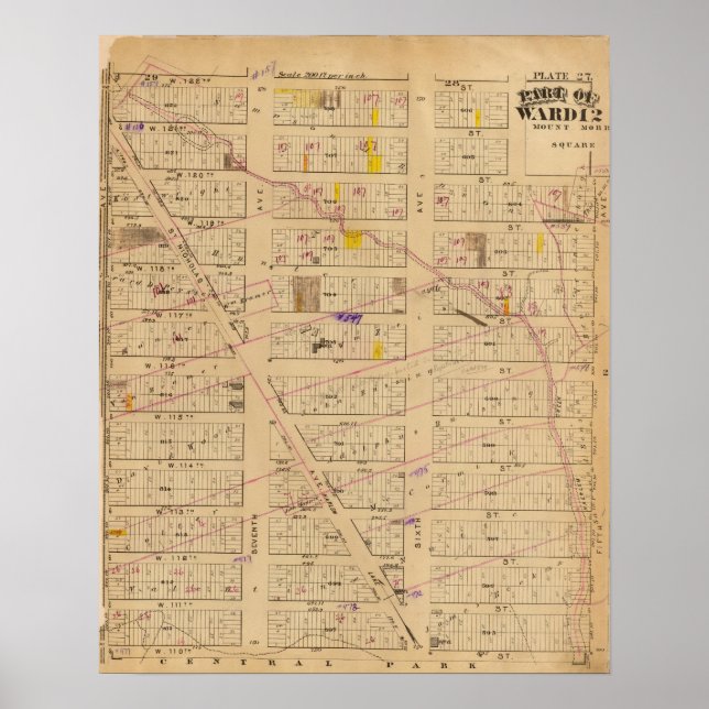 Póster 27 Ward 12 (Frente)