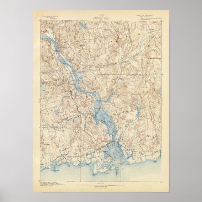 Póster 28 Hoja de Saybrook (Frente)