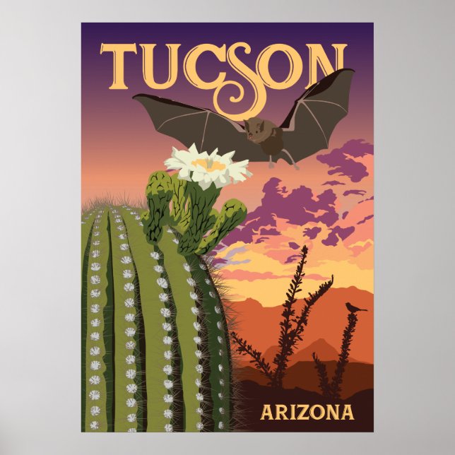 Póster 28 "x20" Bat y Saguaro - Tucson, Arizona (Frente)