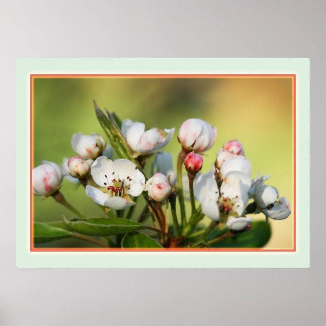 Póster 28" x 20", papel Poster de valor (mate) (Frente)