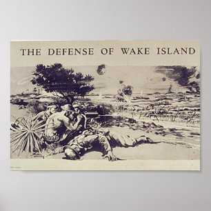 PÓSTER 2.º USMC 19